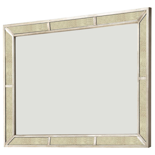 Loraine Champagne Mirror by Furniture of America at Eve Furniture