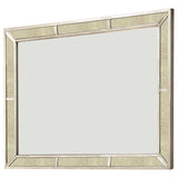 Loraine Champagne Mirror by Furniture of America at Eve Furniture
