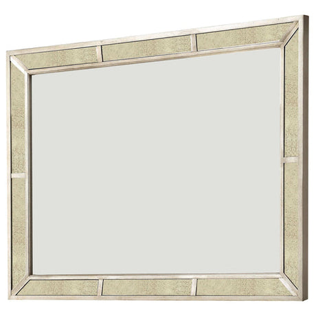 Loraine Champagne Mirror by Furniture of America at Eve Furniture