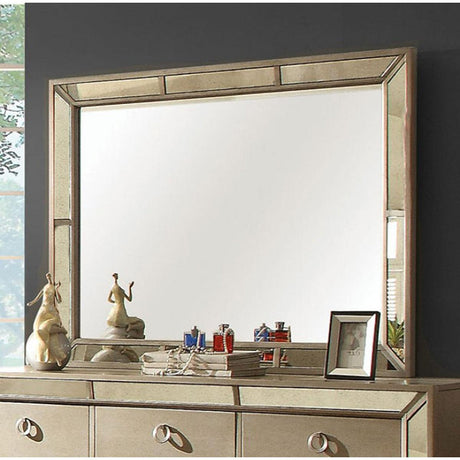 Loraine Champagne Mirror by Furniture of America at Eve Furniture