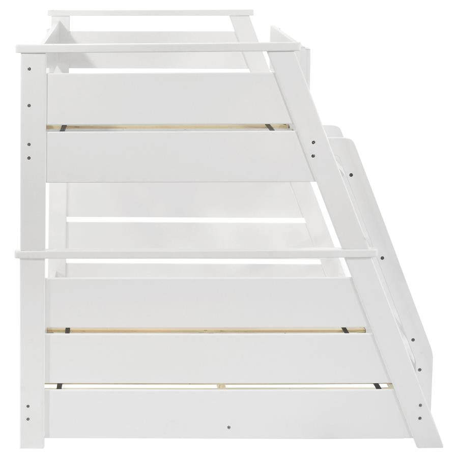 Holden White Wood Veneer Twin Over Full Bunk Bed by Coaster at Eve Furniture