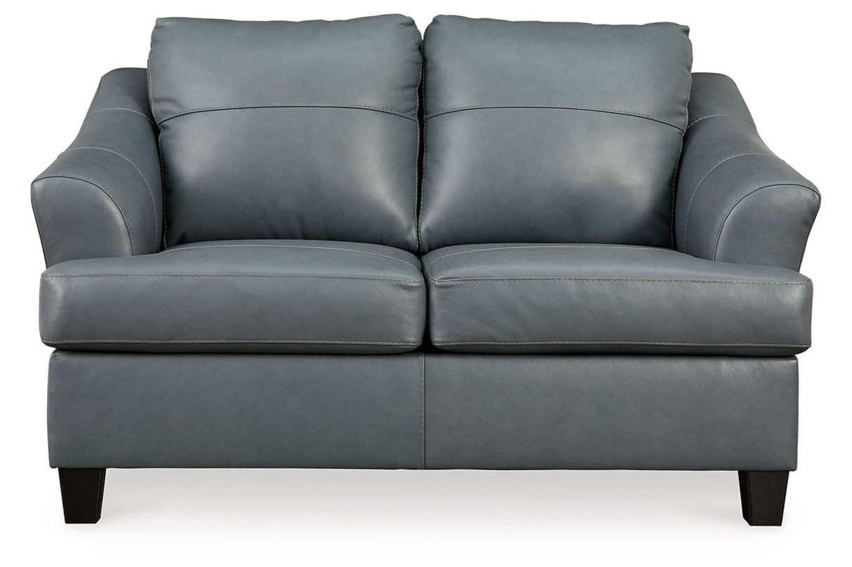 Genoa Steel Sofa, Loveseat, Oversized Chair and Ottoman