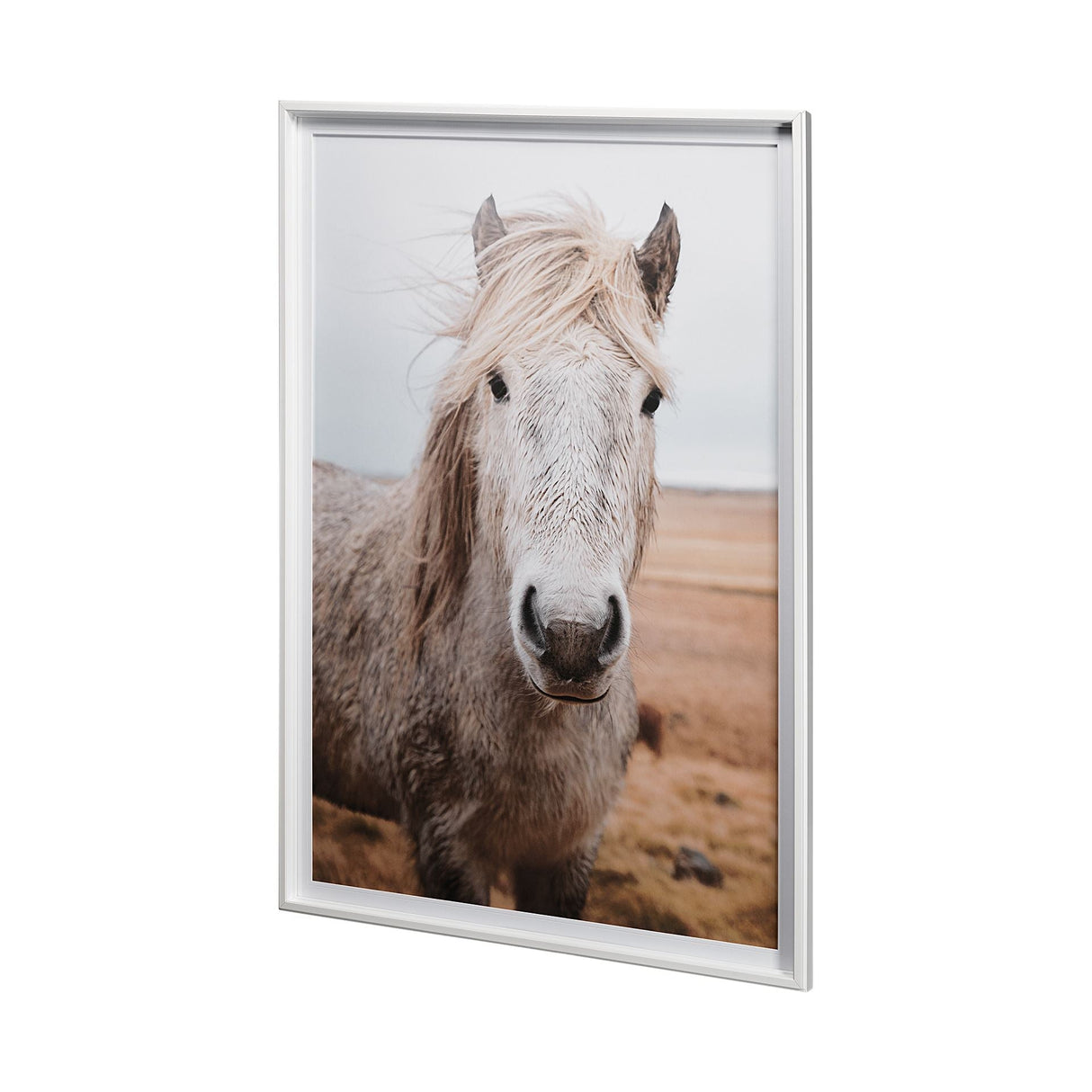 49822 Heida I by Laura Marshall a Framed Photo Art Print Matted under Glass by Mercana at Eve Furniture