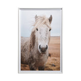 49822 Heida I by Laura Marshall a Framed Photo Art Print Matted under Glass by Mercana at Eve Furniture