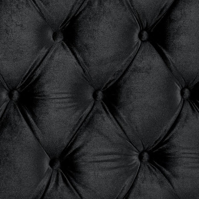 Stefania Black 5-Piece Queen Bedroom Set by Furniture of America at Eve Furniture