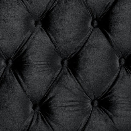 Stefania Black 5-Piece Queen Bedroom Set by Furniture of America at Eve Furniture