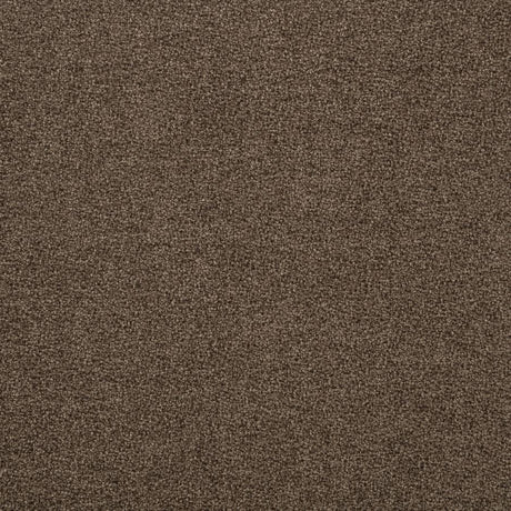 Casarin Brown Fabric 2-Piece Channel-Back Sofa Set by Coaster at Eve Furniture