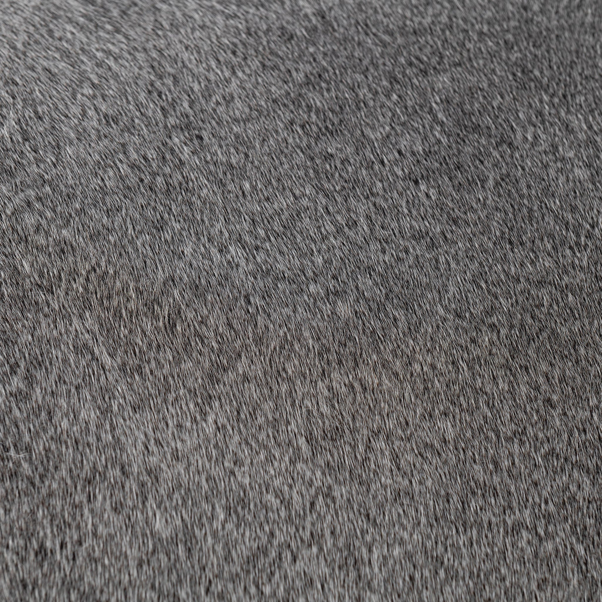 Bose Counter Stool