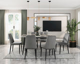 Salerno Gray Velvet Dining Chair, Set of 2