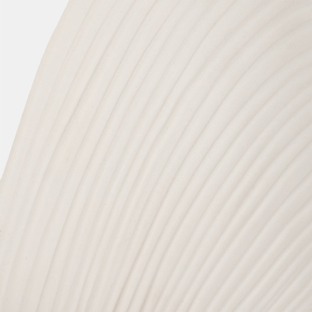 6" Seashell Decor, White