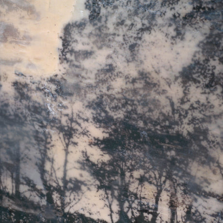 66 by Jennifer Goldberger a Framed Art Print Matted under Glass by Mercana at Eve Furniture