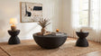 Macedo Black 3-Piece Transitional Round Rattan Occasional Table Set by Coaster at Eve Furniture