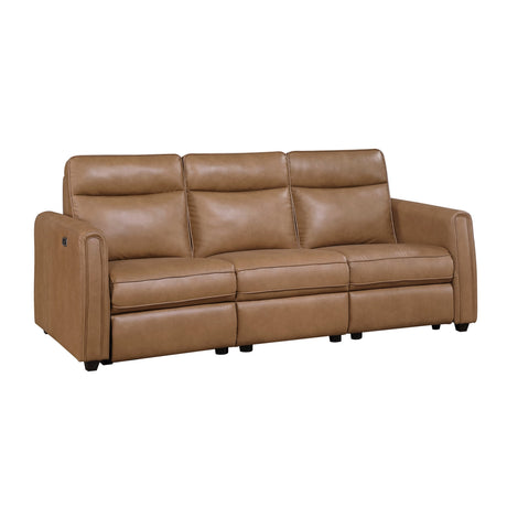 Equinox Brown 2-Piece Rounded Track Arms Power Reclining Living Room Set by Homelegance at Eve Furniture