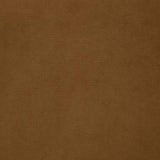 Catala Rust/Coffee Upholstered High Back Accent Chair by Coaster at Eve Furniture