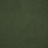 Catala Matcha/Coffee Upholstered High Back Accent Chair by Coaster at Eve Furniture