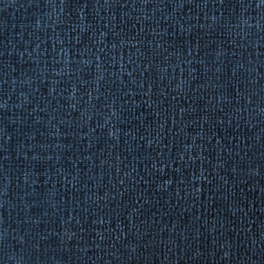 Leon Navy Accent Chair by Coaster at Eve Furniture