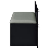 Flora Black High Gloss 2-drawer Vanity Set with LED Mirror