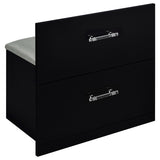 Flora Black High Gloss 2-drawer Vanity Set with LED Mirror