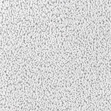 Ackland Light Gray Dining Side Chair, Set of 2 by Coaster at Eve Furniture