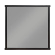 Acworth Brownish Gray Mirror (Mirror Only) by Homelegance at Eve Furniture