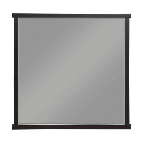 Acworth Brownish Gray Mirror (Mirror Only) by Homelegance at Eve Furniture
