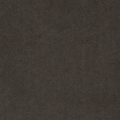 Alana Upholstered Tufted Side Chairs with Nailhead Trim, Set of 2 by Coaster at Eve Furniture