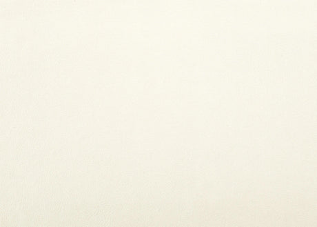 Allura White Vanity Dresser with Mirror by Homelegance at Eve Furniture