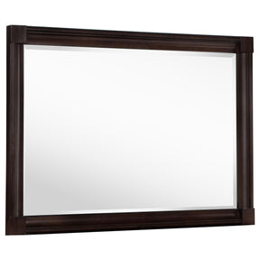 Andover Dark Oak Dresser Mirror by Coaster at Eve Furniture