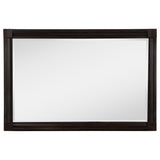 Andover Dark Oak Dresser Mirror by Coaster at Eve Furniture