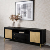 Arini Black Rattan Cane 2-Door TV Stand Media Console by Coaster at Eve Furniture