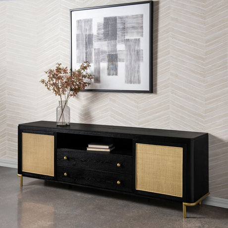 Arini Black Rattan Cane 2-Door TV Stand Media Console by Coaster at Eve Furniture