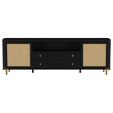 Arini Black Rattan Cane 2-Door TV Stand Media Console by Coaster at Eve Furniture