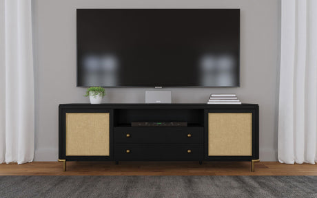 Arini Black Rattan Cane 2-Door TV Stand Media Console by Coaster at Eve Furniture
