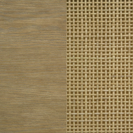 Arini Sand Wash Rattan Cane 2-door TV Stand Media Console by Coaster at Eve Furniture