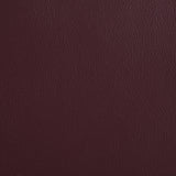 Armstrong Wine Upholstered Power Lift Massage Recliner by Coaster at Eve Furniture