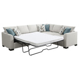Ashford Greige Chenille Upholstered Sleeper Sectional Sofa by Coaster at Eve Furniture