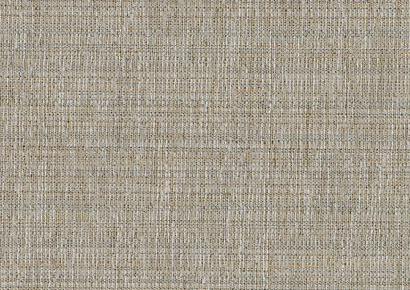 Auburndale Light Gray Counter Height Stool, Set of 2 by Homelegance at Eve Furniture