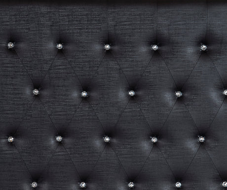 Aveline Black Queen LED Upholstered Panel Bed by Homelegance at Eve Furniture