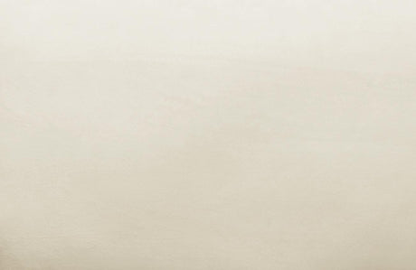 Avery Velvet Accent Chair by TOV Furniture at Eve Furniture