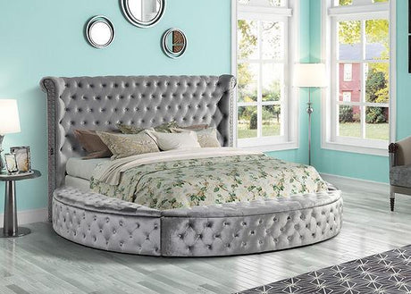 Lux II (USB Charger) Grey Queen Platform Bed by New Era Innovations at Eve Furniture