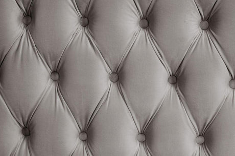 Royal Grey Queen Platform Bed by New Era Innovations at Eve Furniture