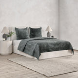 Bari Velvet Quilt Collection