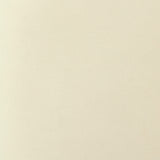 Rebecca Performance Velvet Dining Chair by TOV Furniture at Eve Furniture