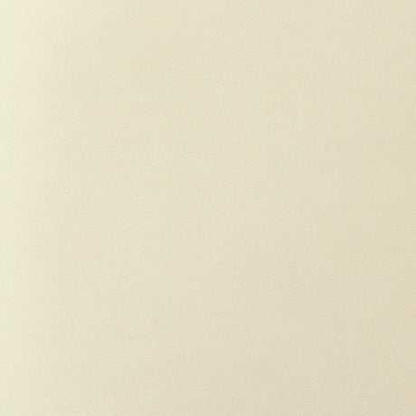 Rebecca Performance Velvet Dining Chair by TOV Furniture at Eve Furniture