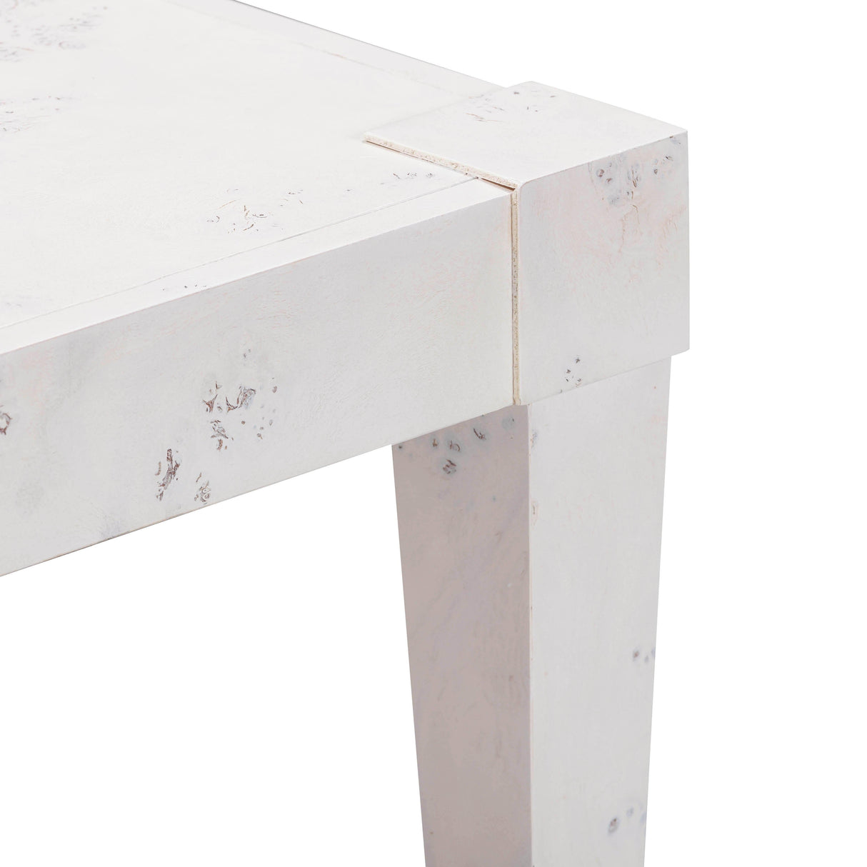 Brandyss Burl Work Desk by TOV Furniture at Eve Furniture