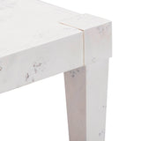 Brandyss Burl Work Desk by TOV Furniture at Eve Furniture