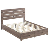 Brantford Barrel Oak Eastern King Storage Bed by Coaster at Eve Furniture