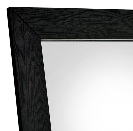 Cadence Black Oak Tempered Glass Full Length Standing Mirror by Coaster at Eve Furniture