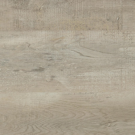 Cadence Gray Tempered Glass Washed Oak Full Length Standing Mirror by Coaster at Eve Furniture