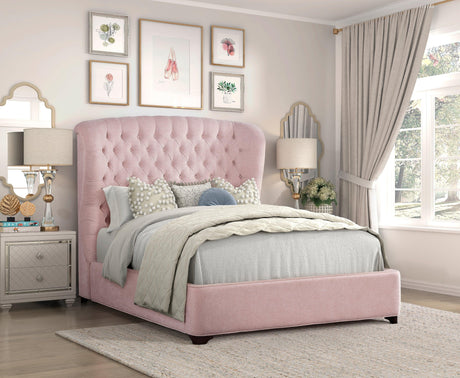 Cameo Pink Queen Upholstered Wingback Bed by Homelegance at Eve Furniture